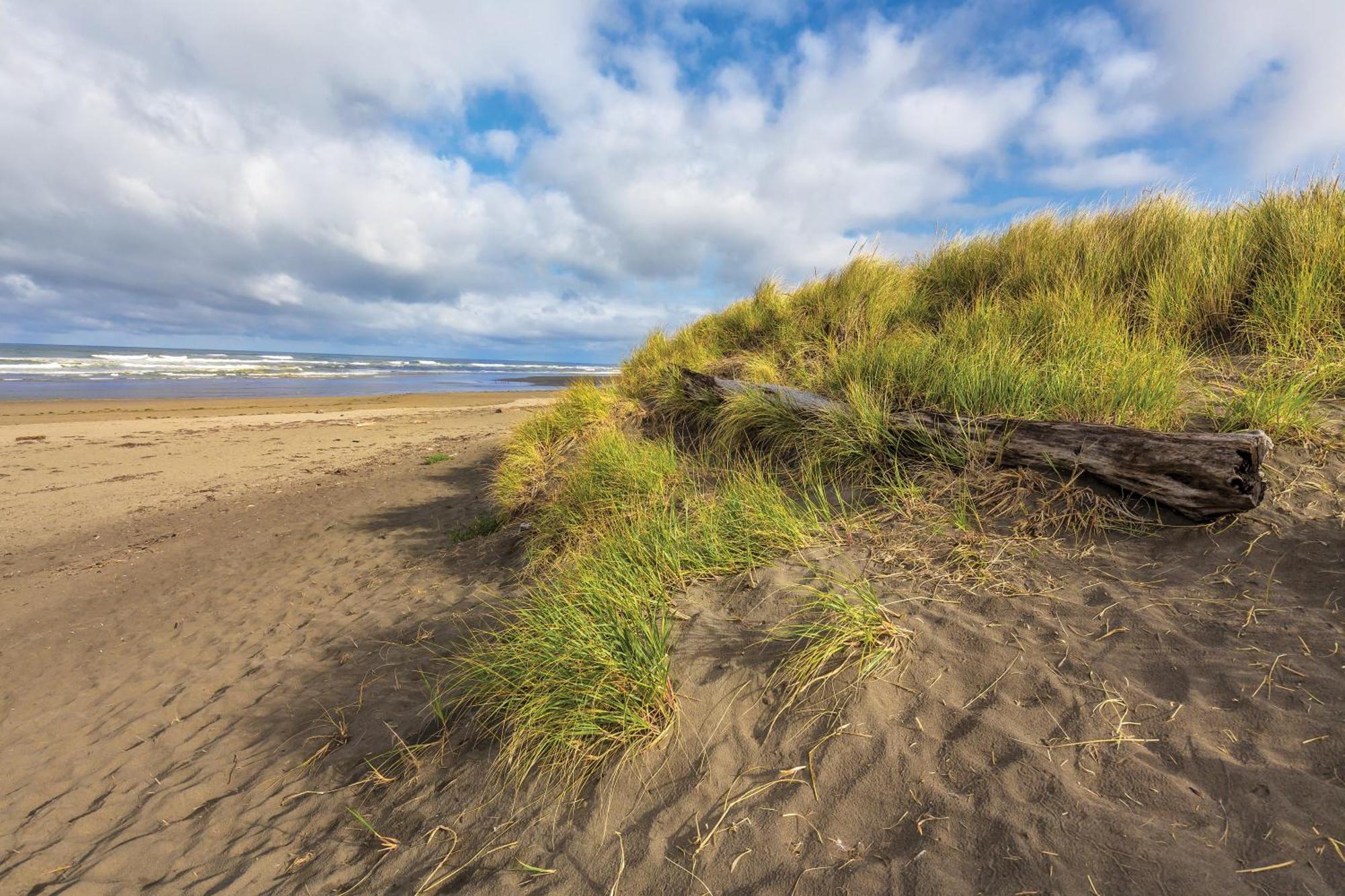 Worldmark Mariner Village Ocean Shores Buitenkant foto